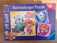 Paw Patrol Puzzle 3x49Teile ab 5+ Ravensburger Nordrhein-Westfalen - Menden Vorschau