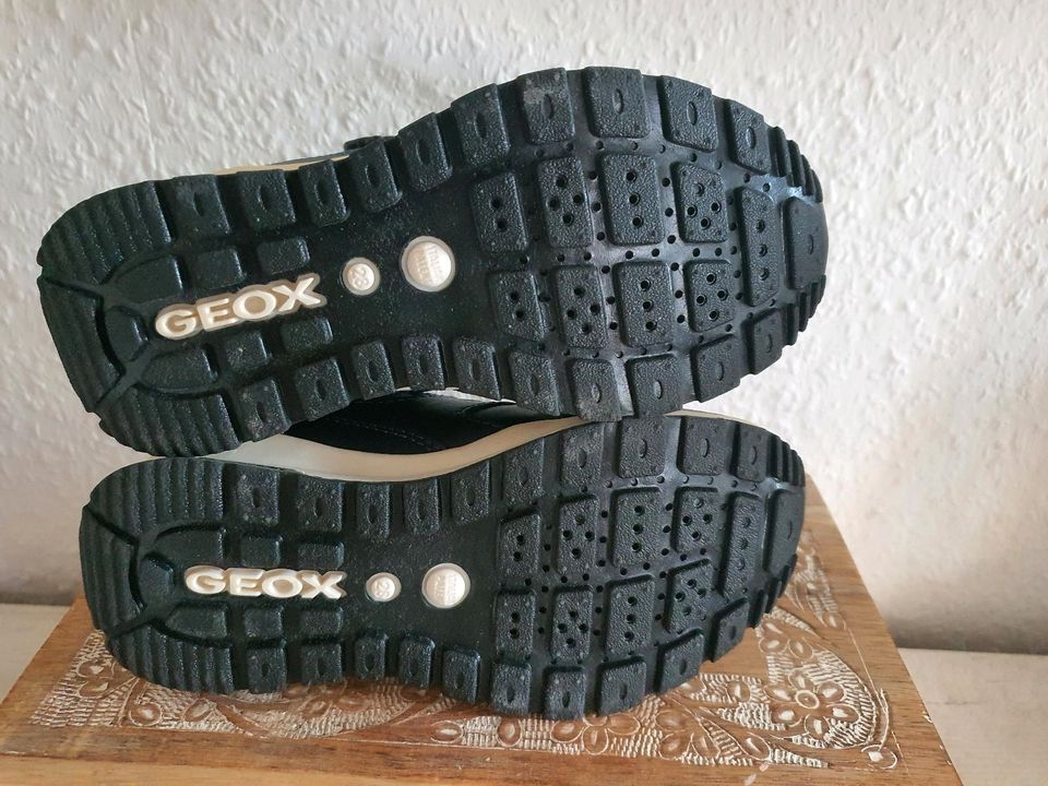 Neue Geox Sneaker Gr. 28 in Rostock