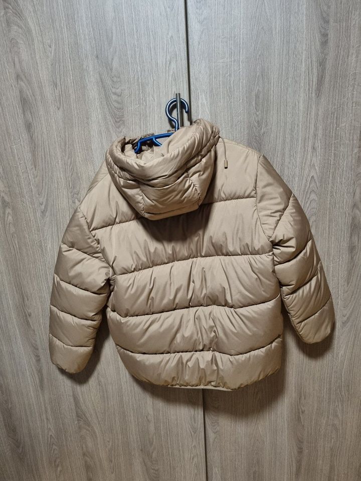 Steppjacke mit Kapuze Neu in Korbach