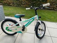 Kinderfahrrad 16 Zoll Winora Bayern - Regensburg Vorschau