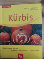 Kürbis - Die besten Sorten zum Anbauen, Zubereiten , Dekorieren Rheinland-Pfalz - Heidesheim Vorschau