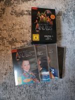 Komplettangebot ,,Das Haus Anubis" DVD Staffel 1 & 2 Rheinland-Pfalz - Mainz Vorschau