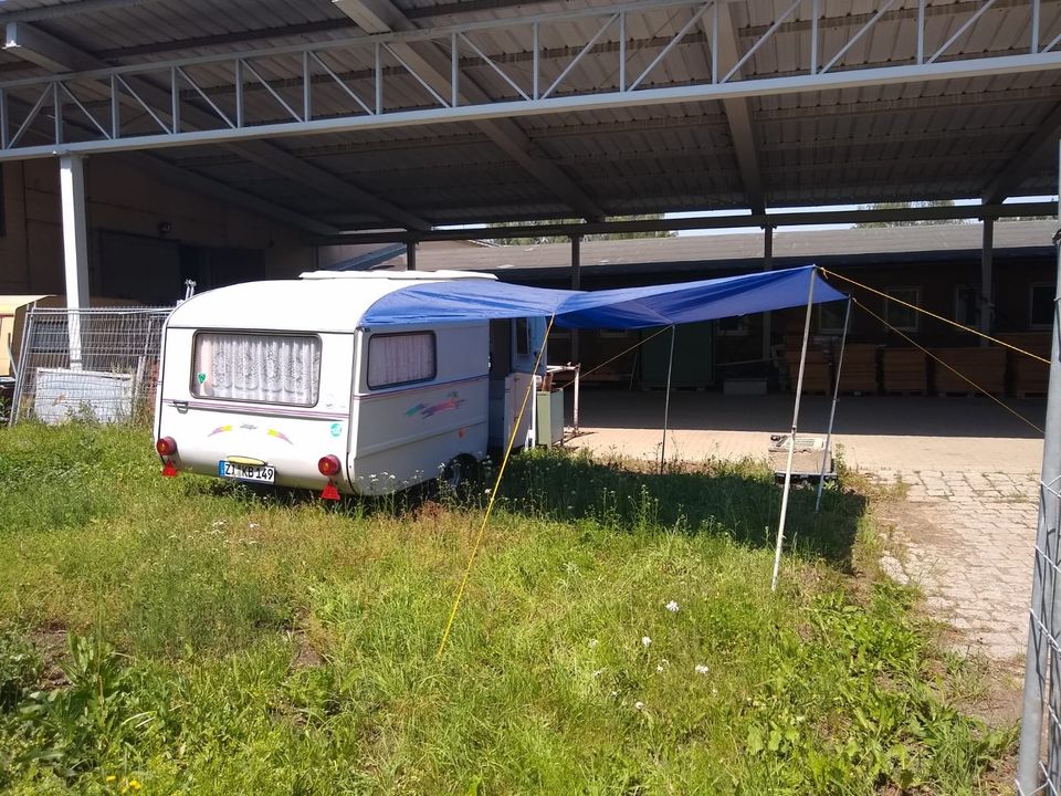 Qek Junior mieten Kurzurlaub,Camping.Oldtimertreffen,Kroatien in Zittau