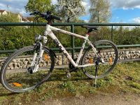 BULLS Wildcross Street Herrenfahrrad Cross Bike 28 Zoll Mecklenburg-Vorpommern - Gützkow Vorschau
