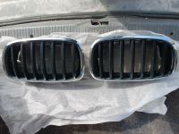 BMW X5 X6 Niere Original Grill E70 E71 Thüringen - Gera Vorschau