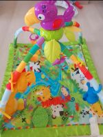 Fisher Price Spielbogen Rain Forest Baby Spielzeug Mülheim - Köln Höhenhaus Vorschau