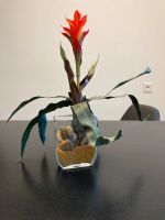 Vase mit Kunstblume Baden-Württemberg - Pforzheim Vorschau