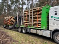40 RM Brennholz Stammholz Eiche  3m oder 4 m lang Thüringen - Stadtroda Vorschau