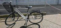 Fahrrad (Frau) zu verkaufen Schleswig-Holstein - Bad Segeberg Vorschau
