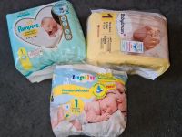 Pampers Größe 1 Nordrhein-Westfalen - Jüchen Vorschau