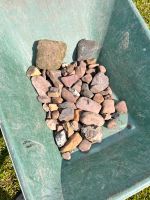 Steine Gartensteine Findlinge zu verschenken Garten Osterholz - Ellenerbrok-Schevemoor Vorschau