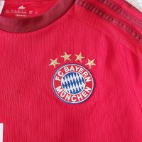 FC Bayern München Trikot Rot Kinder Langarm Größe 164 Kreis Pinneberg - Barmstedt Vorschau