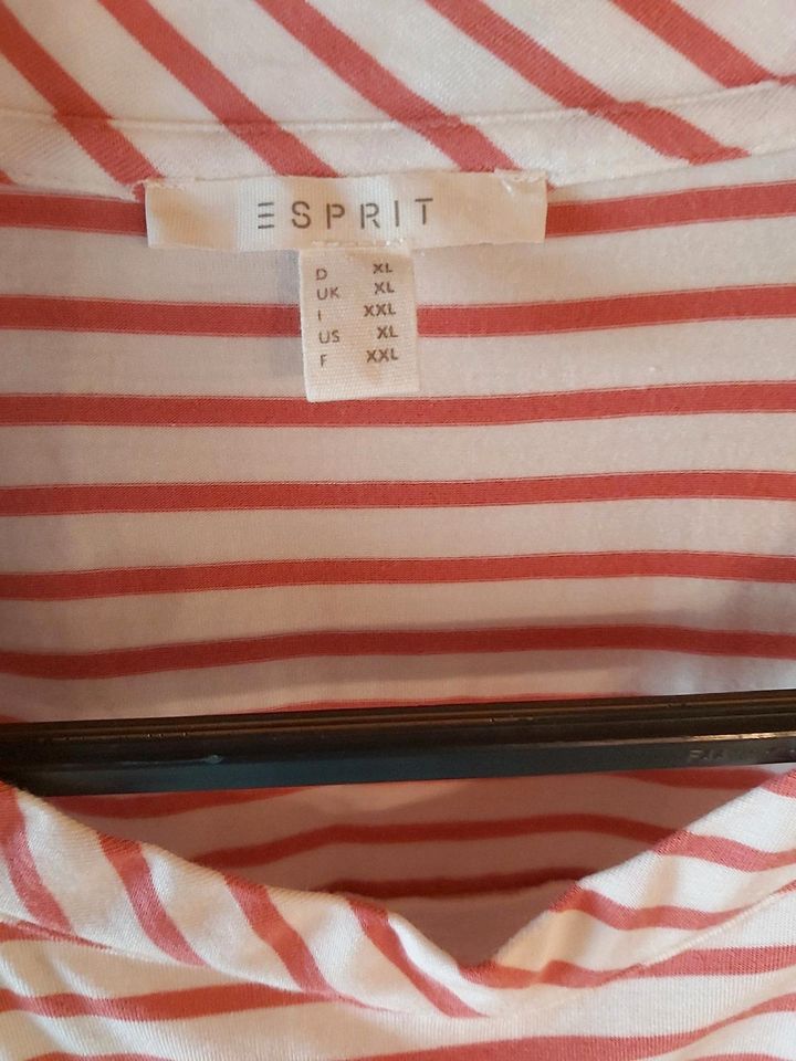 Esprit T-Shirt in Inden