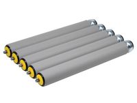 ►5x Förderrolle Interroll 1700 Stahl Tragrolle Ø 50 mm L 440 mm Schleswig-Holstein - Neumünster Vorschau