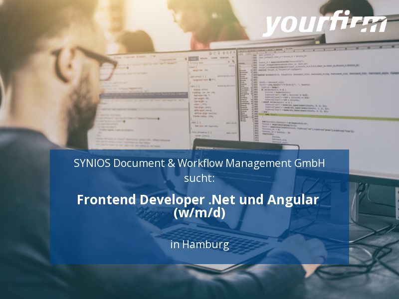 Frontend Developer .Net und Angular (w/m/d) | Hamburg in Hamburg