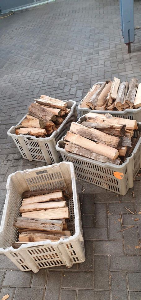 Feuerholz zu verkaufen in Neustadt an der Weinstraße