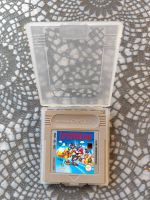 Super Mario Land Hessen - Nidderau Vorschau