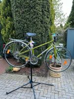 Motobecane Vintage Halbrenner Damenrad -wie Peugeot/ Koga Miyata Nordrhein-Westfalen - Hamm Vorschau
