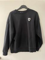 New Yorker Pulli Nordrhein-Westfalen - Lemgo Vorschau