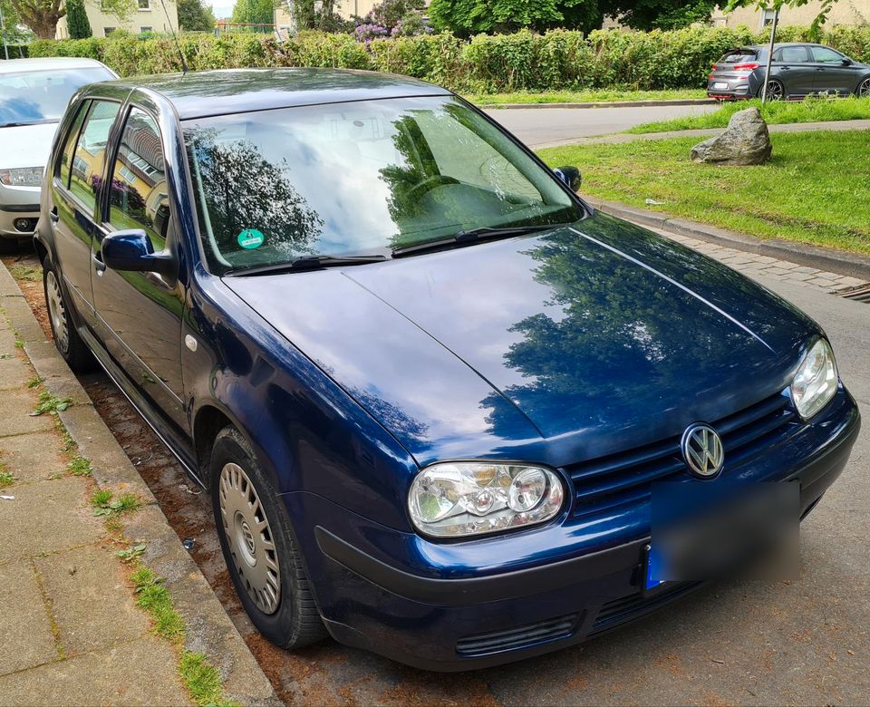 VW Golf 4 . 1,4 in Bad Oeynhausen