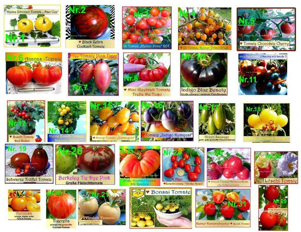 ♥ Große Tomate BIG Rainbow Alte samenfeste Sorte,Samen,Garten Rar in Hamburg