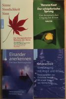 Therapie Bücher Gelassenheit einander anerkennen Krisen Sinne Hessen - Kassel Vorschau