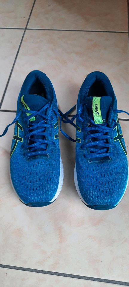 Asics Gel Mimulus blau Gr 43,5 in Riegelsberg