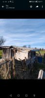 Gartenhaus, Gartenhütte zu verschenken Bayern - Herrsching Vorschau