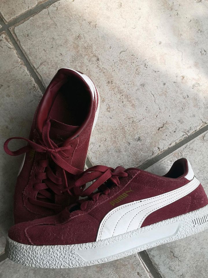 Puma Sneaker bordeaux Gr. 40 neuwertig in Krefeld