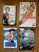 Manga Anime Sammlung wie neu Baden-Württemberg - Pforzheim Vorschau