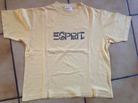 ESPRIT T-Shirt Größe 116/122 gelb (kräftiger als auf dem Bild) Bayern - Bobingen Vorschau