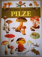 Großes Naturlexikon Pilze Buch Bayern - Pocking Vorschau