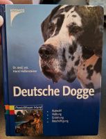 Deutsche Dogge Buch, Ratgeber, Dr.med.vet. Horst Hollensteiner Nordrhein-Westfalen - Rhede Vorschau