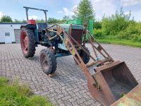 Hanomag Granit 500 E Oldtimer Traktor Trecker Schlepper Nordrhein-Westfalen - Löhne Vorschau
