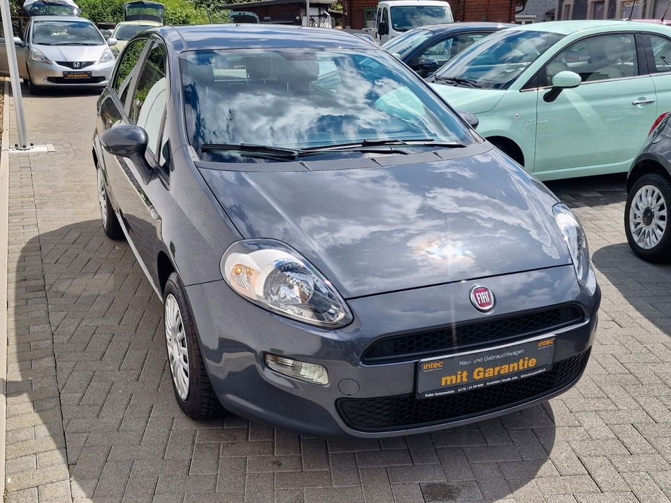 Fiat Punto Pop -Klima/EU6/Gepflegt/1.Hd- in Mönchengladbach