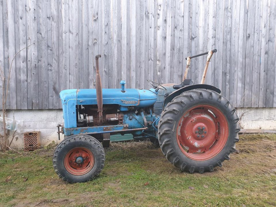 Fordson Super Major Oldtimer Traktor Schlepper in Ammerbuch