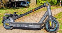 E-Scooter Ninebot G30D Max 2 fürs Wochenende Baden-Württemberg - Rust Vorschau