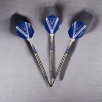 GARY ANDERSON W.C. PHASE 5 STEEL-DARTS Bayern - Kissing Vorschau