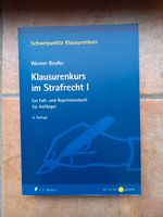 Buch Klausurenkurs im Strafrecht I Schleswig-Holstein - Lübeck Vorschau