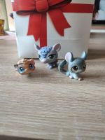 Littlest Pet Shop *Chinchilla, Gürteltier, Hamster* Sachsen-Anhalt - Zeitz Vorschau