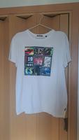 Damen T-Shirt Müritz - Landkreis - Waren (Müritz) Vorschau