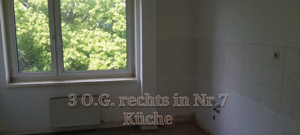 1, 2, 3 & 5* Raum Wohnung in 17091 Tarnow in Rosenow