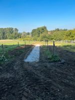 Reitplatzbau ,Reitplatz ,Pferd,Bagger, Paddockbau Nordrhein-Westfalen - Preußisch Oldendorf Vorschau