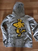 Toller Hoodie Niedersachsen - Ottersberg Vorschau