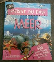 Buch Weißt Du das? Meerbuch Kinderbuch Meer Nordrhein-Westfalen - Bergheim Vorschau