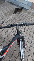 Fahrrad für Herren Bayern - Wildflecken Vorschau