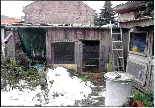 Stark sanierungsbedürftiges Einfamilienhaus mit Nebengebäude in Kyffhäuserland (Handwerkerobjekt) in Steinthaleben