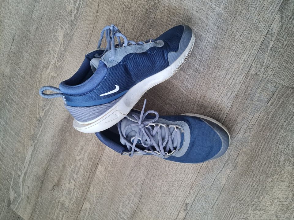 Nike ZOOM COURT PRO CLY blau Gr. 41 in Pampow