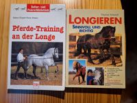 Pferdetraining an der Longe - Longieren Nordrhein-Westfalen - Erndtebrück Vorschau