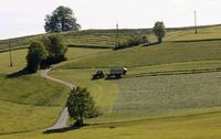 Grünland Wiese Pachtfläche Nordrhein-Westfalen - Attendorn Vorschau